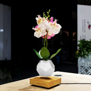 magnetic levitation floating plant pot air bonsai PA-0708