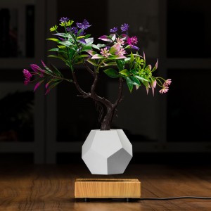 magnetic levitating floating bottom air bonsai pot planters PA-0708