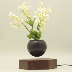wooden magnetic levitating floating air bonsai potted planter PA-0720