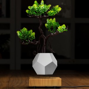 new wooden base magnetic levitation bottom flyte air bonsai pot planter